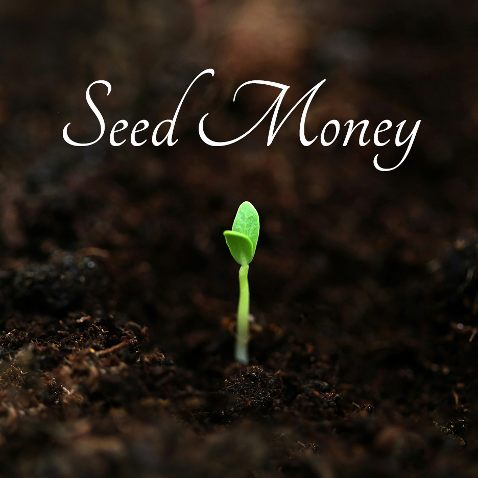 Seed Money Plant Germinating