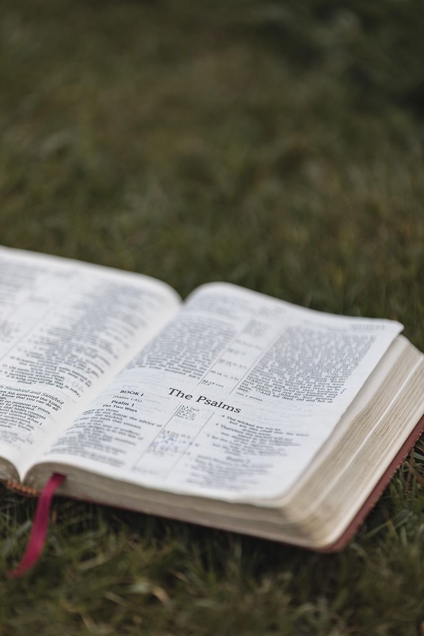 bible psalms